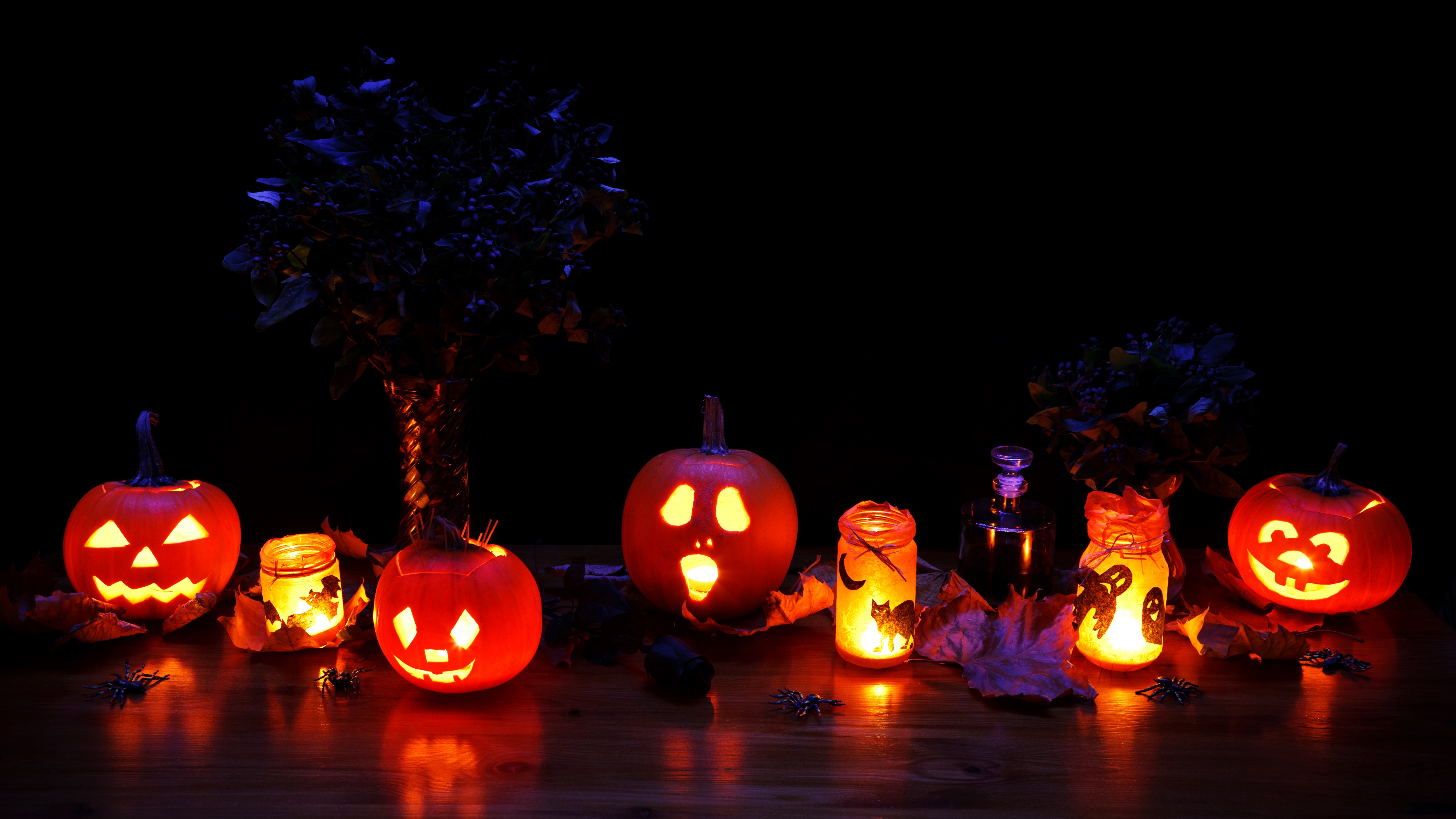 Halloween Pumpkins